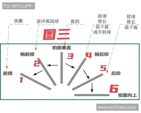重庆乒乓球队反击战术揭秘与深度分析乒乓球竞技的魅力与挑战