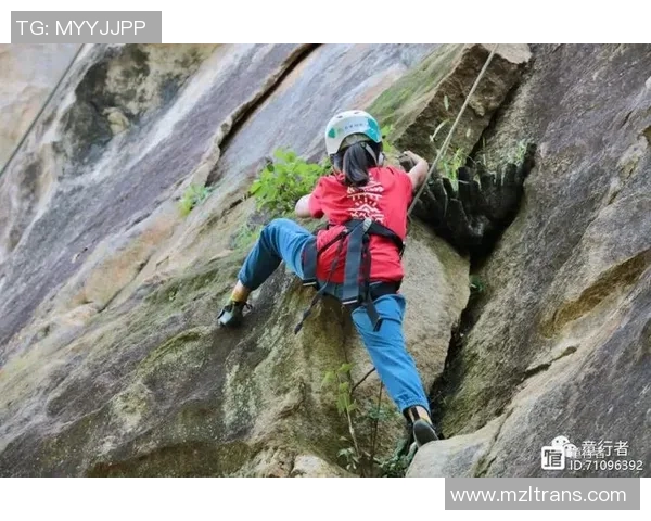 赵秀英亲述攀岩技巧与心路历程分享攀登者的成长与挑战
