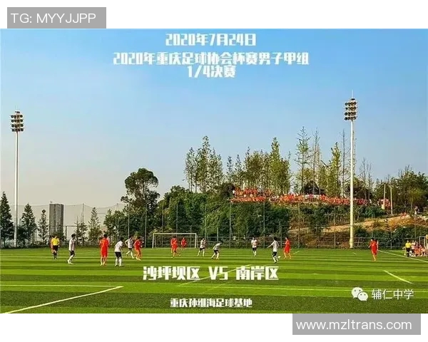 重庆乒乓球队的拼搏历程与杯赛荣耀背后的故事