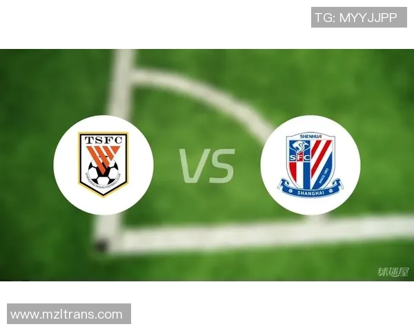 2017年山东鲁能与上海申花激战回顾球迷心中难忘的经典对决