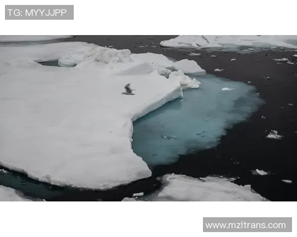 梦想与银星的交汇点：2017年追寻与成就的故事