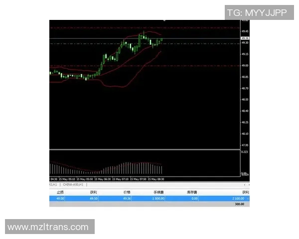 圣保罗与累体育精彩对决直播全程回顾与分析