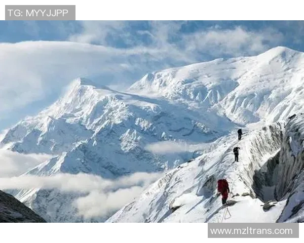 布林狮子迎战休斯顿城全力争胜展现球队实力与风采