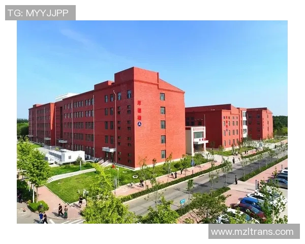 广州乒乓球队防守革新之路探索与实践的深度分析与展望MBA