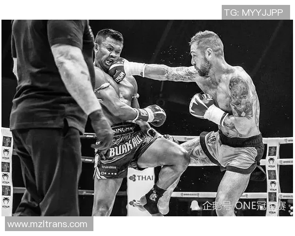 邹市明与播求巅峰对决谁将成为拳坛新王者的传奇之战