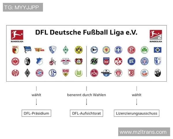 最新法国与德国足球对决分析及未来发展趋势探讨
